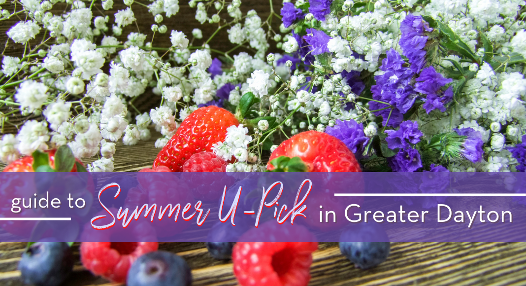 summer u-pick fruit and flowers in dayton