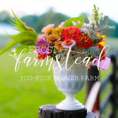frost farmstead summer u-pick flowers