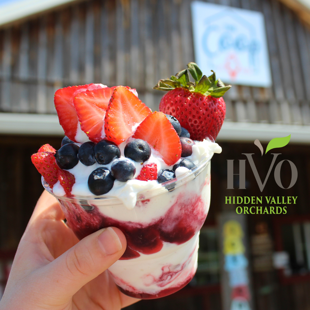 hvo hidden valley orchards summer ice cream